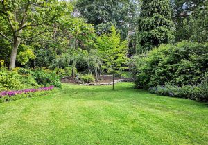 Optimiser l'expérience du jardin à Le Reculey